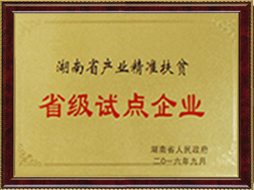 省級試點企業