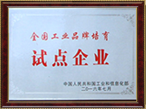 試點企業