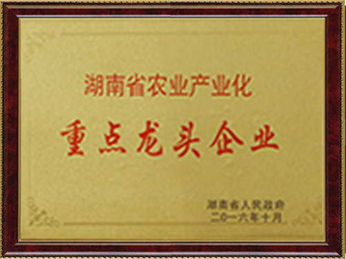 重點龍頭企業