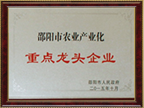 重點龍頭企業